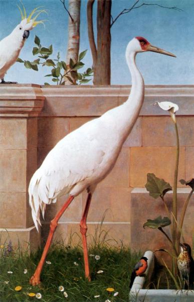 Indian Crane, Bullfinch And Thrush by Henry Stacy Marks