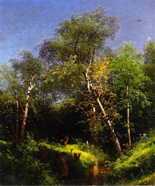 Deer In The Wild Woods by Herman Herzog