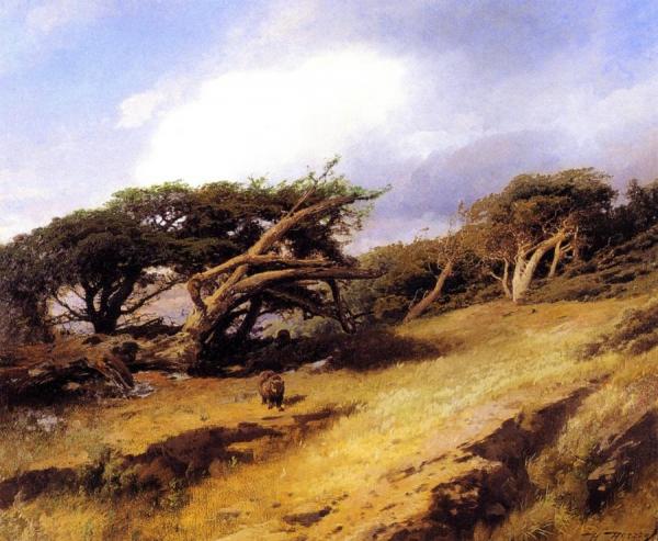 Monterey Pines With Bears by Herman Herzog