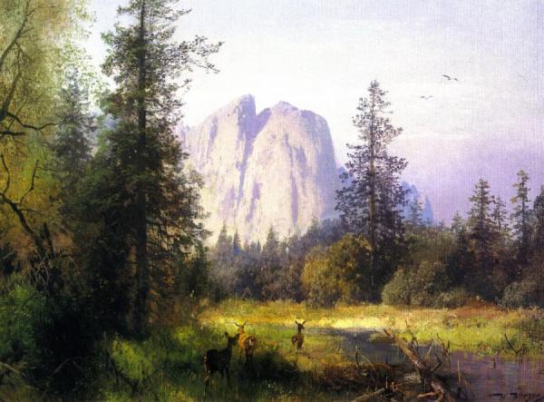 Yosemite Valley - A Family Of Deer by Herman Herzog