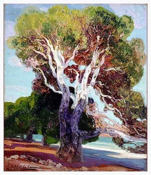Pine Tree In Formentor by Hermen Anglada Camarasa Oil Painting Reproductions