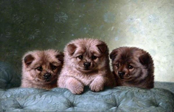 Chow Chows by Horatio Henry Couldery Oil Painting Reproductions