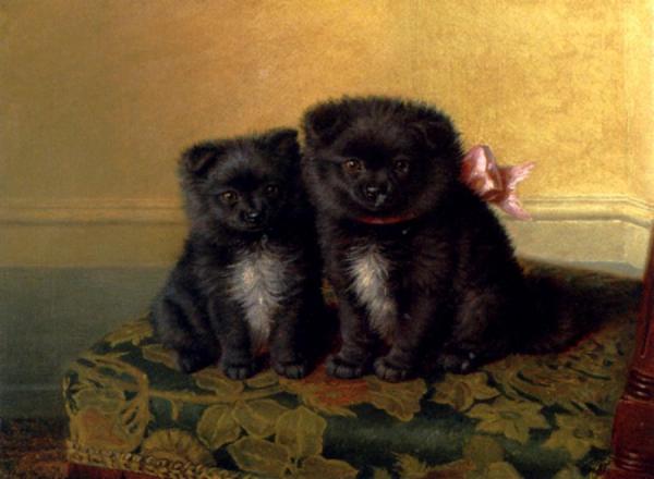 Two Chow Pups Seated On A Chair In An Interior by Horatio Henry Couldery Oil Painting Reproductions