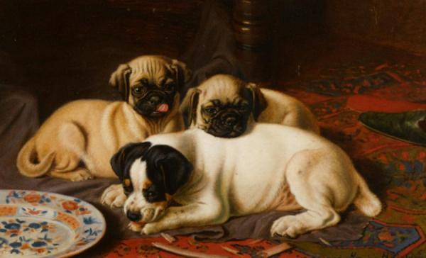Two Pugs And A Terrier by Horatio Henry Couldery