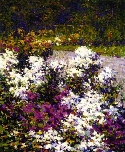 White Phlox by Hugh Henry Breckenridge Oil Painting Reproductions