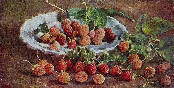 Raspberry by Ilya Mashkov