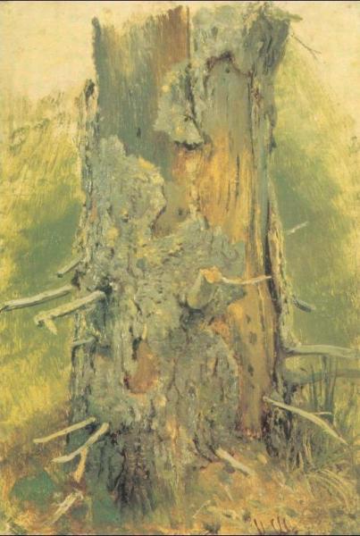 Bark On Dry Up Tree (etude) by Ivan Ivanovich Shishkin