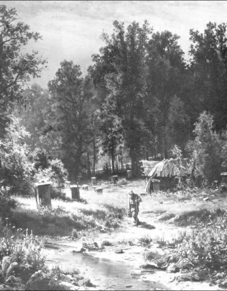 Bee-garden In A Forest by Ivan Ivanovich Shishkin