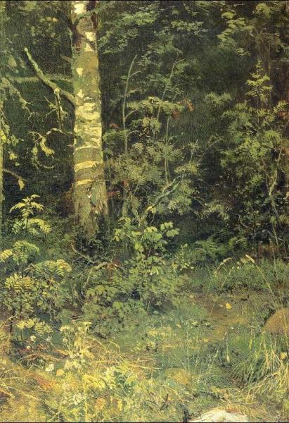 Birch And Pocks (etude) by Ivan Ivanovich Shishkin
