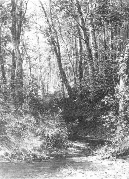 Brook In A Forest by Ivan Ivanovich Shishkin