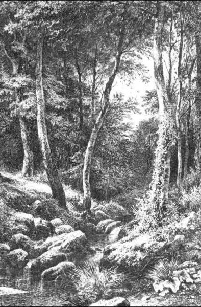 Brook In Forest by Ivan Ivanovich Shishkin