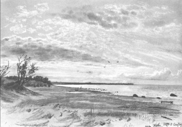 Coast Of A Sea, Mery-hovy by Ivan Ivanovich Shishkin