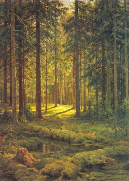 Coniferous Forest. Sunny Day by Ivan Ivanovich Shishkin