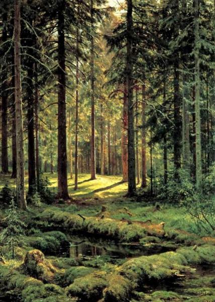 Coniferous Forest, Sunny Day by Ivan Ivanovich Shishkin