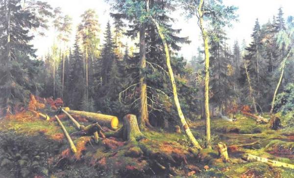 Cutting Of Wood by Ivan Ivanovich Shishkin