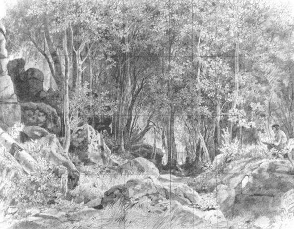 Deciduous Forest On Rocky Coast, Valaam by Ivan Ivanovich Shishkin