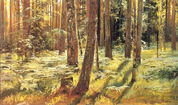 Ferms In A Forest (etude) by Ivan Ivanovich Shishkin