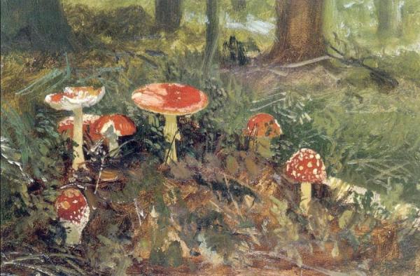 Fly Agarics (etude) by Ivan Ivanovich Shishkin