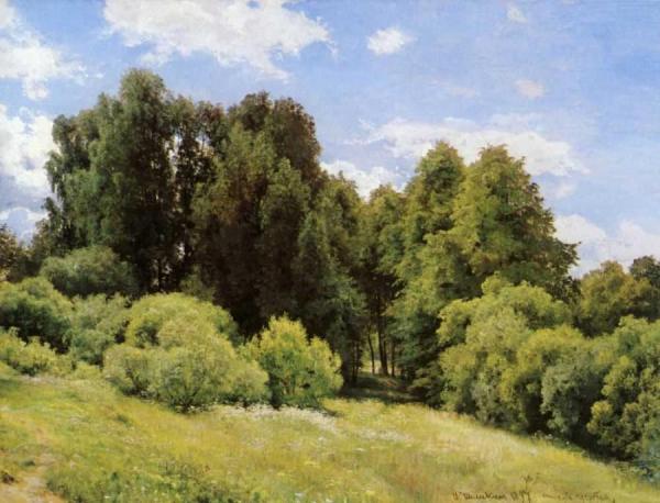 Forest Glade by Ivan Ivanovich Shishkin Oil Painting Reproductions