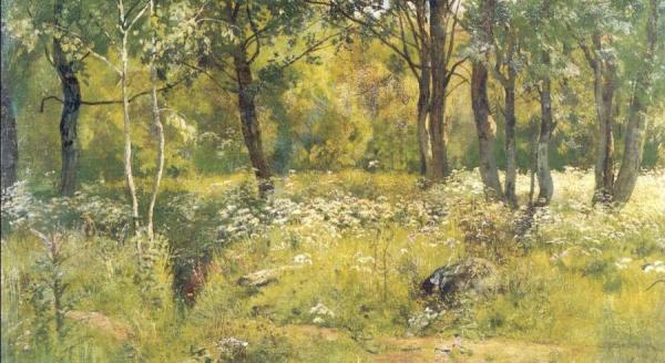 Grassy Glades Of The Forest (etude) by Ivan Ivanovich Shishkin