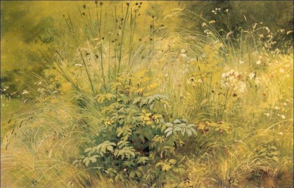 Herbage (etude) by Ivan Ivanovich Shishkin