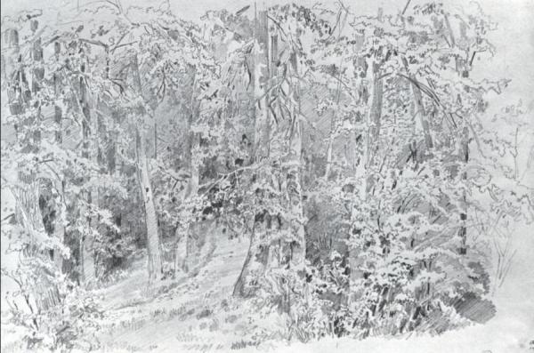 In Deciduous Forest by Ivan Ivanovich Shishkin