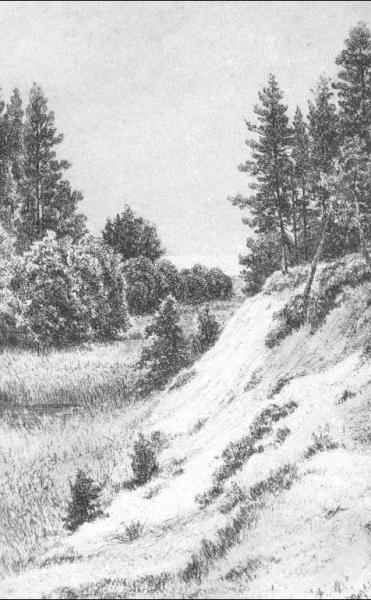 In Sestroretsk by Ivan Ivanovich Shishkin