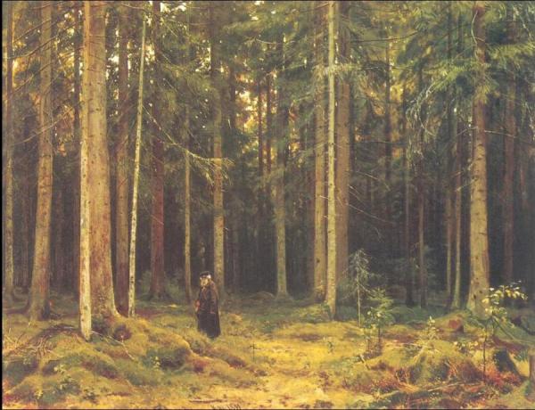 In The Forest Of Countess Mordvinova, Petergof by Ivan Ivanovich Shishkin