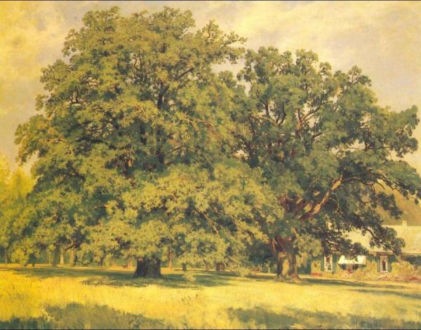 Mordvinov's Oaks by Ivan Ivanovich Shishkin