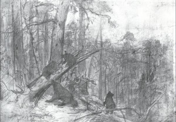 Morning In Piny Wood (study) by Ivan Ivanovich Shishkin