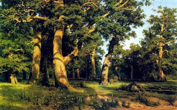 Oak-wood by Ivan Ivanovich Shishkin