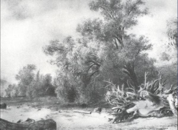 Oaklets Near Sestroretsk by Ivan Ivanovich Shishkin