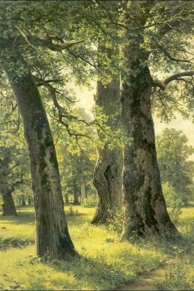 Oaks by Ivan Ivanovich Shishkin Oil Painting Reproductions