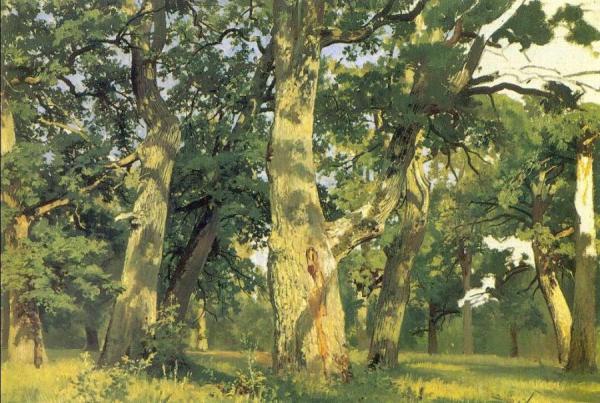 Oaks, Evening (study For Picture Oak-wood) by Ivan Ivanovich Shishkin