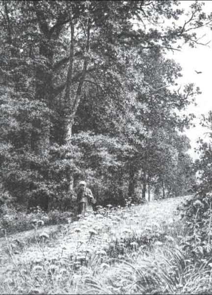 On A Boundary Path by Ivan Ivanovich Shishkin