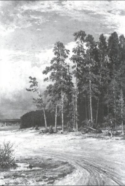 On Edge Of Piny Wood by Ivan Ivanovich Shishkin