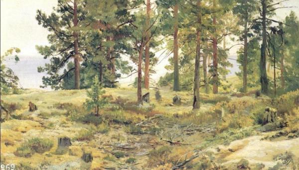 On Sandy Ground by Ivan Ivanovich Shishkin