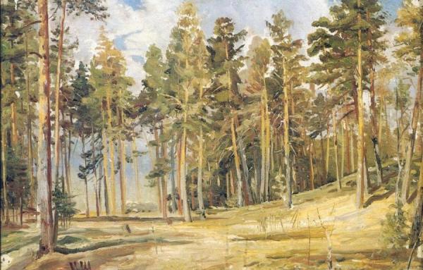 Pines. Sunny Day (etude) by Ivan Ivanovich Shishkin