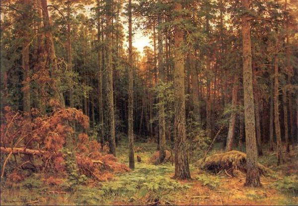 Piny Wood by Ivan Ivanovich Shishkin