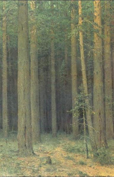 Reserve, Pine Forest by Ivan Ivanovich Shishkin