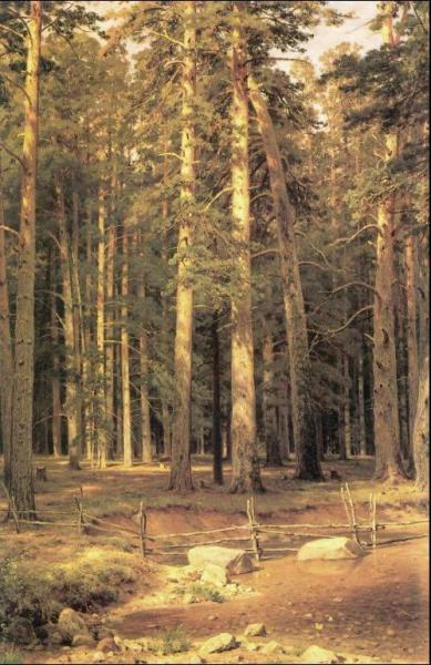 Ivan Ivanovich Shishkin Ship Timber Grove