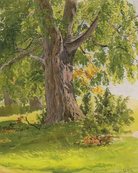 Sunny Oak by Ivan Ivanovich Shishkin