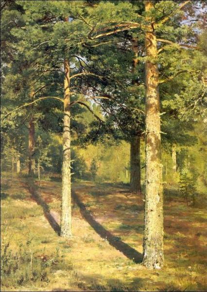 Sunny Pine-tree (etude) by Ivan Ivanovich Shishkin