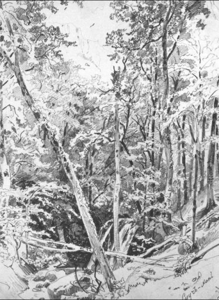 Suuch-khan by Ivan Ivanovich Shishkin