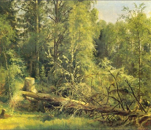 The Cut Down Tree by Ivan Ivanovich Shishkin