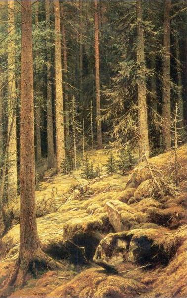 Thickets by Ivan Ivanovich Shishkin Oil Painting Reproductions