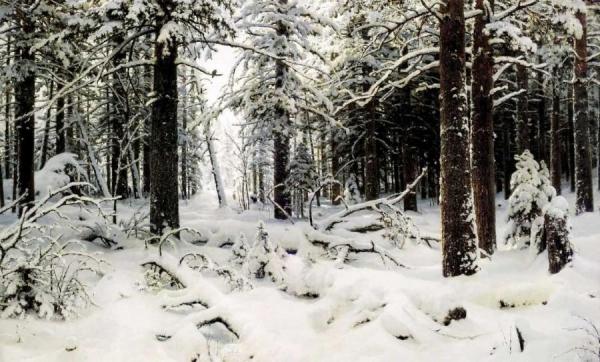 Winter by Ivan Ivanovich Shishkin