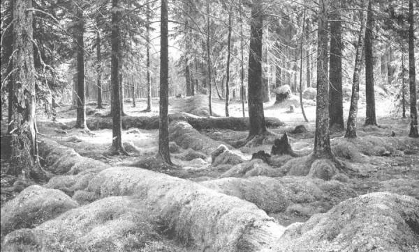 Woodland Cemetery by Ivan Ivanovich Shishkin Oil Painting Reproductions