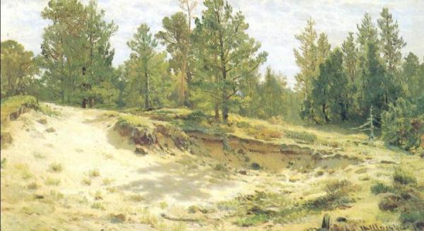 Young Pines On Sandy Steep (etude) by Ivan Ivanovich Shishkin