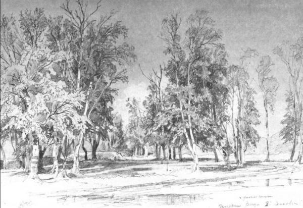 Zelenin's Grove by Ivan Ivanovich Shishkin